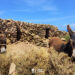Donkeys, Anafi