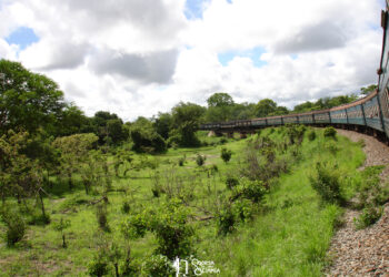 Crossing the national Park- Zambia