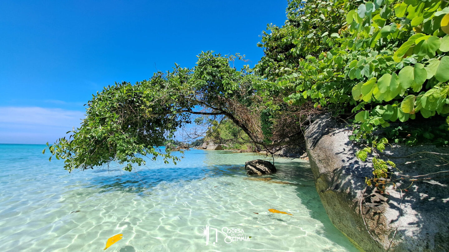 Surin Islands- Thailand