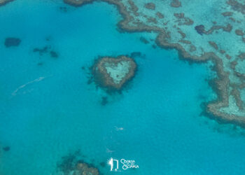 View of Heart Reef -Australia