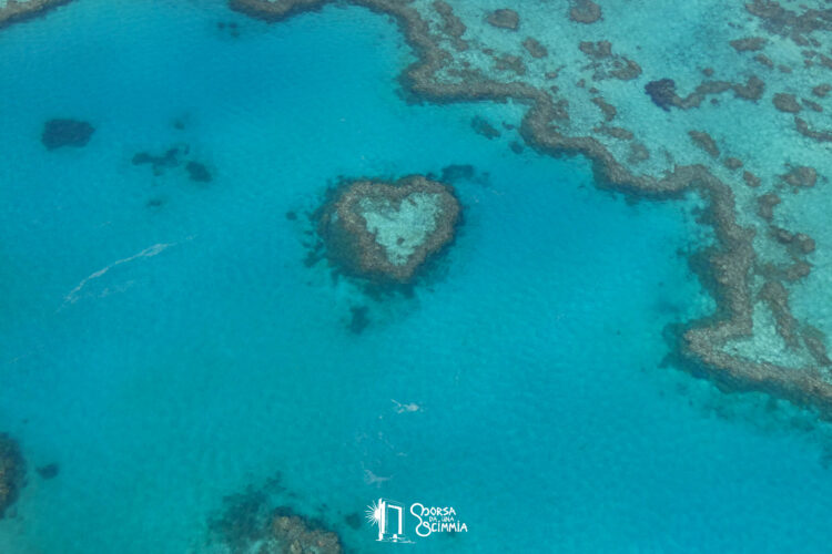 View of Heart Reef -Australia
