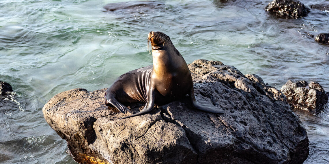 San Cristobal - Galapagos -Ecuador