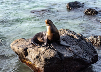 San Cristobal - Galapagos -Ecuador
