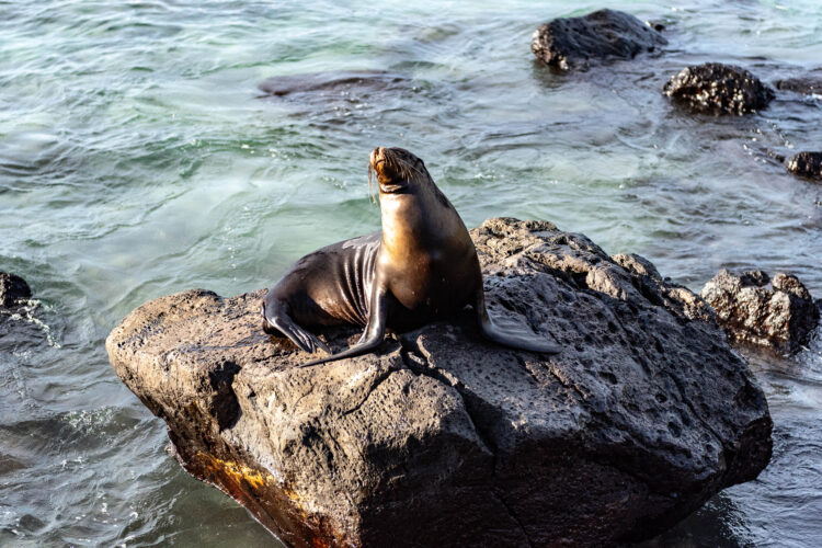 San Cristobal - Galapagos -Ecuador