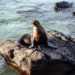 San Cristobal - Galapagos -Ecuador